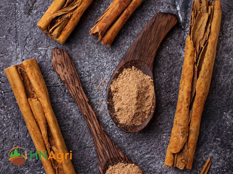 unveiling-the-leading-sri-lanka-cinnamon-suppliers-3