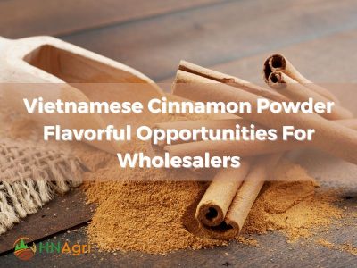 vietnamese-cinnamon-powder-flavorful-opportunities-for-wholesalers