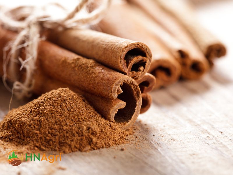 vietnamese-cinnamon-powder-flavorful-opportunities-for-wholesalers-2