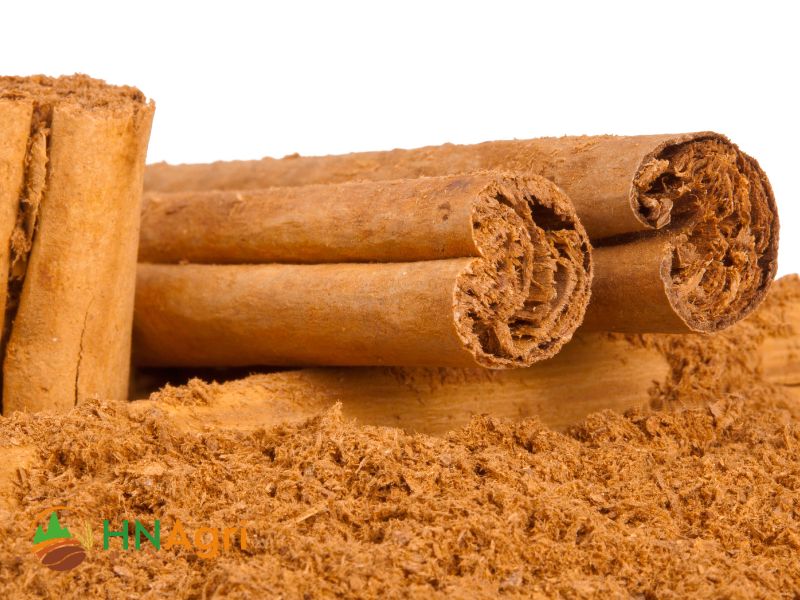 bulk-ceylon-cinnamon-enhance-wholesale-offering-with-premium-spice-2